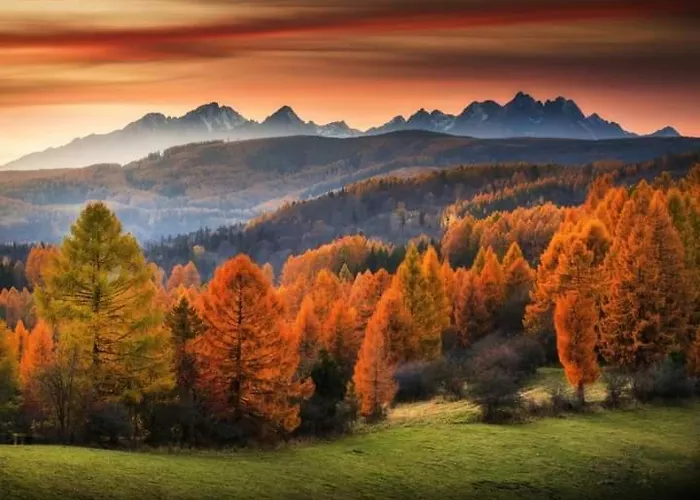 Tatry Panorama Tatragolf Appartement